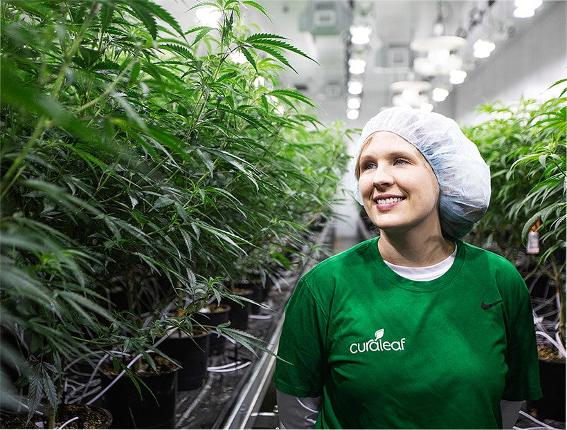 Image: A member of staff, wearing a hairnet and corporate top, walks through a cannabis cultivation.